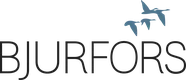 Bjurfors fastighetsförmedling